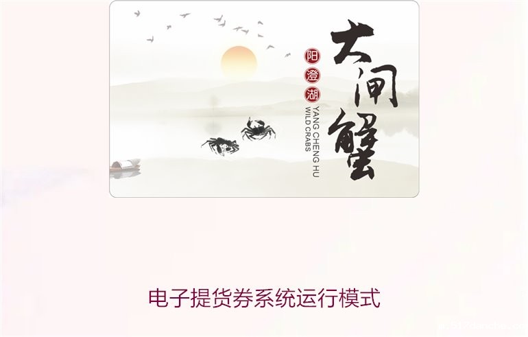 电子提货券系统运行模式1.jpg